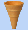 large cone